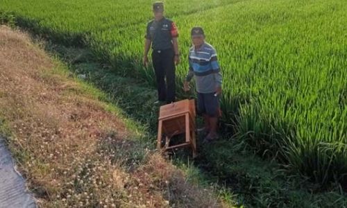 Masjid di Plupuh Sragen jadi Sasaran Pencuri, Uang Diambil Kotak Infak Dibuang