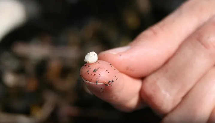 Ngeri, Mikroplastik yang Toxic Cemari Laut dan Sungai di Indonesia