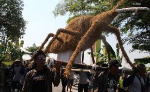 Hiii... Ada Wereng Raksasa dalam Kirab Festival Mbok Sri di Delanggu Klaten