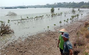 Menengok Abrasi di Pesisir Pantai Kabupaten Tangerang