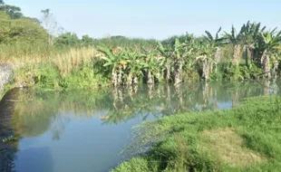 Kemarau Panjang, Petani Manfaatkan Air di Bendung Bagor Juwiring Klaten