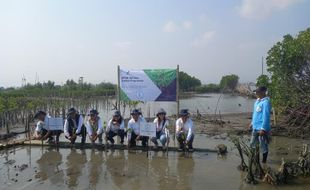 Peduli Lingkungan, BPOM Surakarta & Semarang Tanam 1.000 Mangrove di Tambakrejo