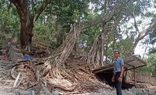 Desa Tunggulrejo Karanganyar Siapkan mBarpadas Jungle Park, Ini Keunikannya