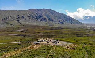 Kawasan Gunung Bromo Jatim Kembali Menghijau Pascakebakaran, Ini Penampakannya