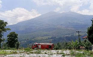 Kebakaran Gunung Merbabu, TNGMb: Tak Ada Hewan Liar Turun Gunung