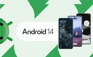 Android 14 akan Rilis Bareng Google Pixel, Banyak yang Baru