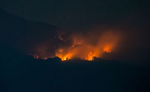 Walhi: Malaysia Turut Tanggung Jawab atas Kebakaran Hutan & Lahan di Indonesia