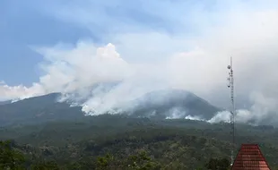 Kebakaran Hutan Gunung Lawu, Area Terbakar Meluas Hingga 150 Hektare