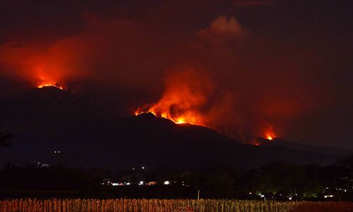 Penampakan Titik Api Kebakaran Hutan di Gunung Lawu