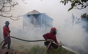 Kebakaran Lahan di Ogan Ilir Dekati Permukiman, Petugas Berjibaku Padamkan Api