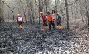 Alas Karet di Kedawung Sragen Terbakar, Sempat Bikin Panik Warga