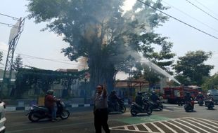 Pohon Beringin Berusia Ratusan Tahun di Salatiga Terbakar, Jadi Tontotan Warga