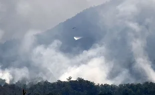 Kebakaran Gunung Lawu Belum Padam, Tempat Wisata Alam di Ngawi Diminta Waspada