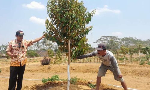 Sejumlah Desa di Wonogiri Berhasil dalam Program Ketahanan Pangan, Ini Kuncinya