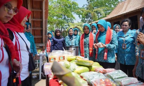 Hanya Ada di Balerante Klaten, Program Titip Bandaku Pikat TP PKK Pusat