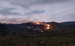 Kebakaran Landa Gunung Ungaran, Titik Api Berasal dari Kawasan Gedong Songo