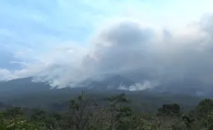 Kebakaran di Gunung Lawu Tak Kunjung Padam, Water Bombing Baru Beroperasi Besok