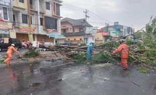 Hujan dan Angin Kencang di Karanganyar, Pohon Tumbang Atap Rusak