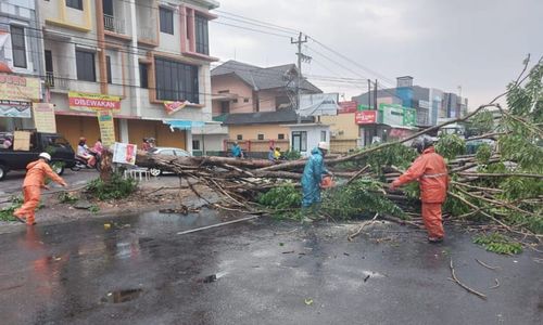 Hujan dan Angin Kencang di Karanganyar, Pohon Tumbang Atap Rusak