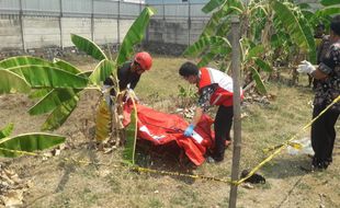 Mayat Pria Tak Dikenal Ditemukan Membusuk di Kebun Kosong di Ngrampal Sragen