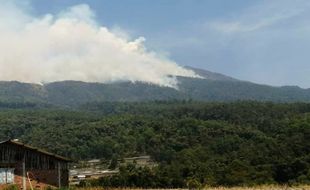 Sempat Padam, Kebakaran Hutan dan Lahan Kembali Membara di Gunung Lawu