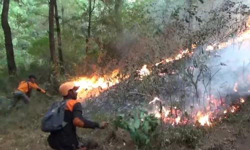 Kebakaran Hutan Gunung Lawu Merembet ke Bawah Pos 5