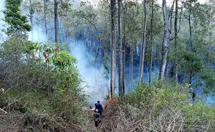 Breaking News! 5 Jalur Pendakian Gunung Merbabu Ditutup Akibat Kebakaran Hutan