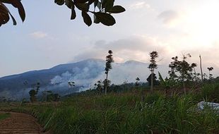 Api Kebakaran Gunung Merbabu Cepat Membesar, Relawan Buat Sekat Api