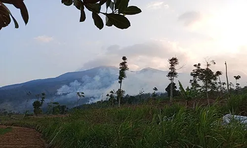 Api Kebakaran Gunung Merbabu Cepat Membesar, Relawan Buat Sekat Api