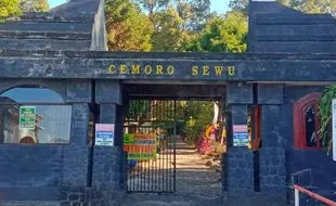 Cerita Pedagang di Cemoro Sewu akibat Kebakaran Lawu yang Tak Kunjung Padam