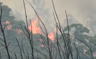 Kebakaran Hutan di Gunung Lawu Belum Padam, Water Bombing Bakal Dikerahkan