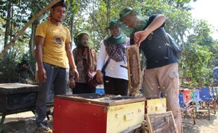 Kisah Sukses Petani Muda Klaten Raup Cuan dari Manisnya Lebah Madu Eropa