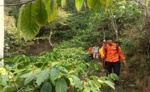 Sudah 4 Hari, Pencari Kopi Luak Hilang di Lereng Gunung Ungaran