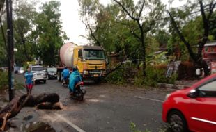 Cuaca Ekstrem di Solo, PLN Utamakan Keselamatan Warga dan Pemulihan Listrik