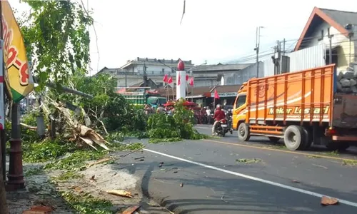 Pohon Tumbang Timpa Truk Dekat Tugu Lilin Ampel Boyolali, Lalu Lintas Tersendat