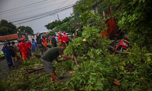 Hujan Deras dan Angin Kencang Landa Solo, Pohon Tumbang di Belasan Lokasi