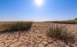 Panas Lur! Madiun Diprediksi Cerah & Suhu Capai 37 Derajat Celcius Hari Ini