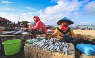 Hasil Tangkapan Ikan Laut di Pati per Agustus Capai 44.433 Ton