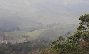 Alhamdulillah, Savana Gunung Bromo Mulai Menghijau Usai Kebakaran Hebat