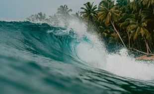 Waspada Gelombang Tinggi di Laut Selatan Jateng-DIY