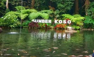 Sejuknya Wisata Alam Sumber Koso di Ngawi, Tiket Masuk Cuma Rp10.000