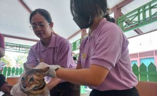 Hari Rabies Sedunia, Hampir 100 Anjing dan Kucing di Klaten Divaksinasi Rabies