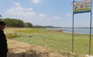 Mengering, Area Genangan Waduk Bade Boyolali Jadi Tempat Menggembala Kambing