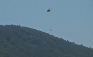 Kebakaran Hutan & Lahan di Gunung Lawu Mencapai 1.990 Hektare, Terluas di Ngawi