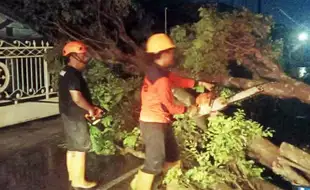 Angin Kencang Terjang Sragen, 28 Pohon Tumbang, 9 Rumah dan Sekolah Rusak