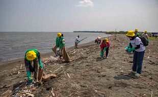 Aksi Aktivis Greenpeace Indonesia Bersih Sampah di Pantai Tirang Semarang