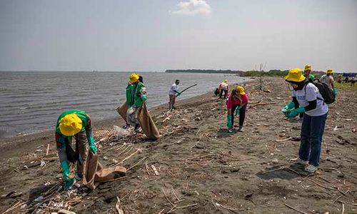 Aksi Aktivis Greenpeace Indonesia Bersih Sampah di Pantai Tirang Semarang