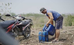 BPDAS Bengawan Solo Gandeng 4 Kelompok Masyarakat Rehabilitasi 180 Ha Lahan