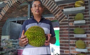 Musim Durian di Jateng Tiba, Pembelian Varian Bawor dan Kholil Sampai Inden