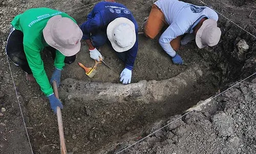 Penyelamatan Fosil Gading Gajah Purba di Pegunungan Patiayam Kudus